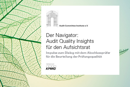 Der Navigator: Audit Quality Insights für den Aufsichtsrat (2019)